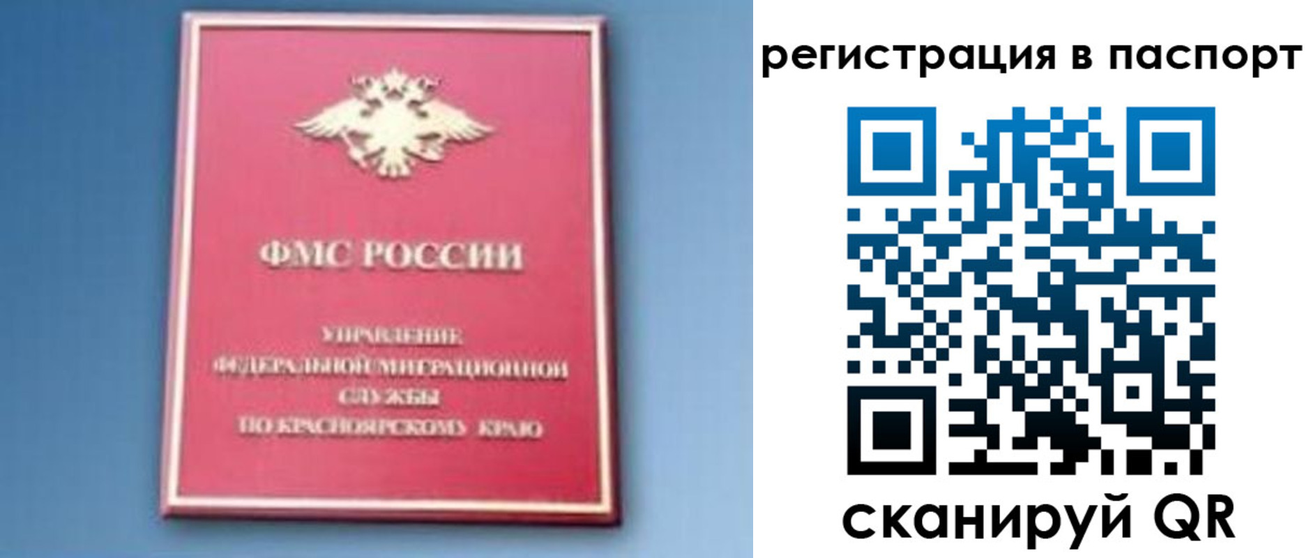 регистрация в Завитинске