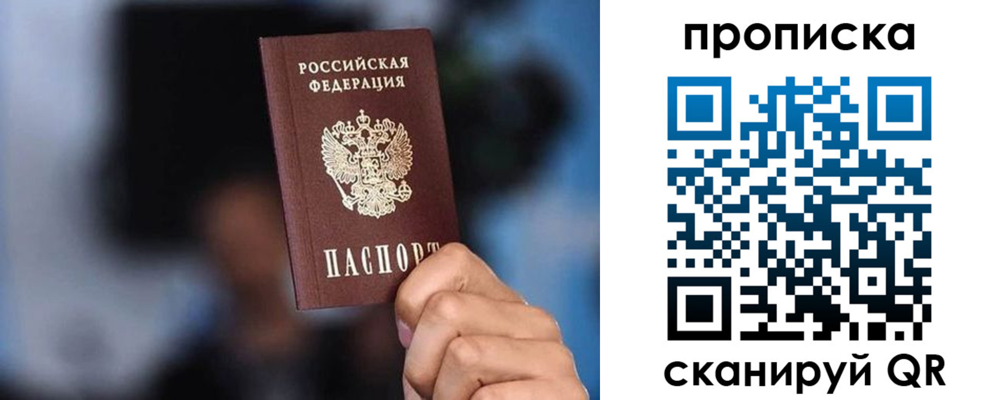 прописка законно в Завитинске